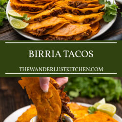 Birria Tacos REcipe