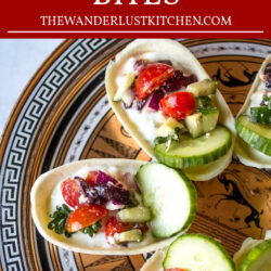 Greek Salsa Bites Recipe Pin