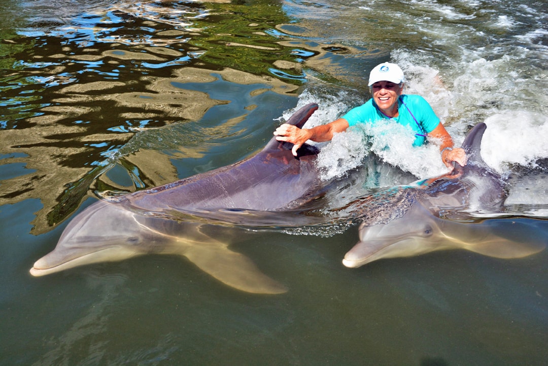 Swim with Dolphins