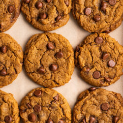 These Vegan Pumpkin Chocolate Chip Cookies are oooey, gooey, and full of Pumpkin flavor. They are the perfect Fall dessert that takes only 30 minutes to make!